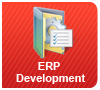 erp-development