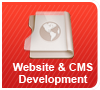 website-cms-development